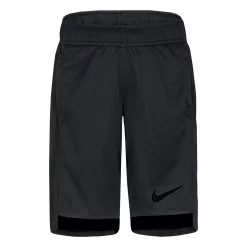 Boys 4-7 Nike Logo Trophy Shorts