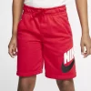 Boys 8-20 Nike Club Fleece Shorts