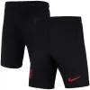 Youth Nike Black Paris Saint-Germain Performance Stadium Shorts