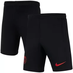Youth Nike Black Paris Saint-Germain Performance Stadium Shorts