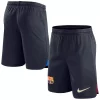 Youth Nike Blue Barcelona Stadium Performance Shorts