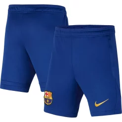 Youth Nike Blue Barcelona Academy Pro Performance Shorts