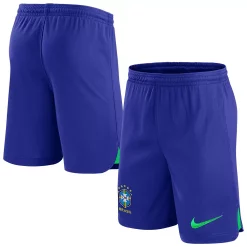 Youth Nike Blue Brazil National Team Stadium Replica Shorts