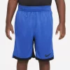 Boys 8-20 Nike Dri-FIT Trophy Short